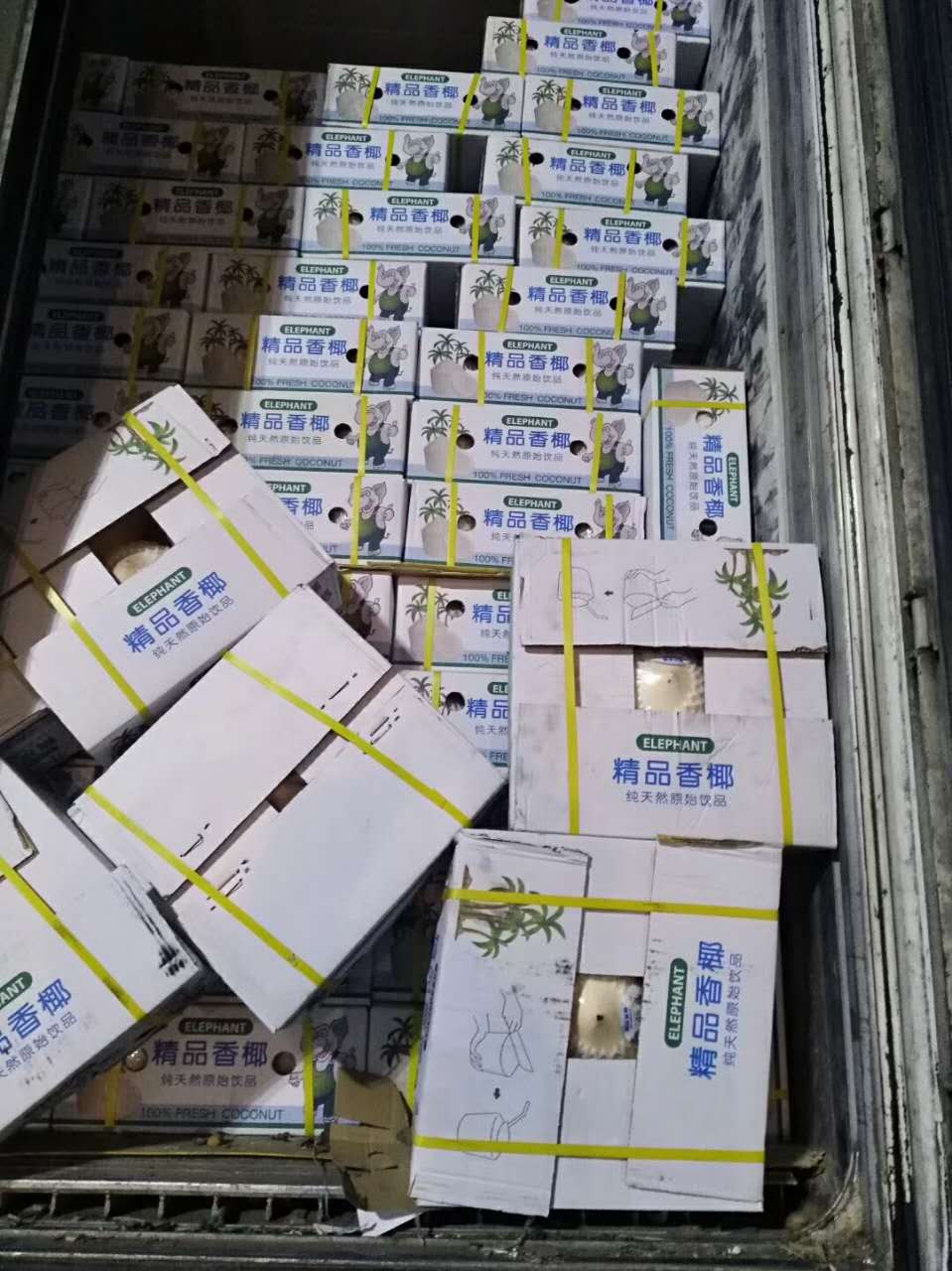 919388119574175164.jpg