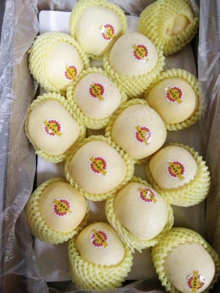 特级黄金牛奶富士苹果重约3.7kg