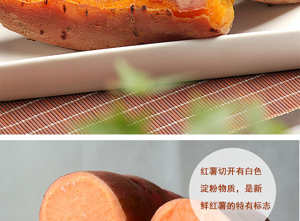 红蜜薯_05.jpg