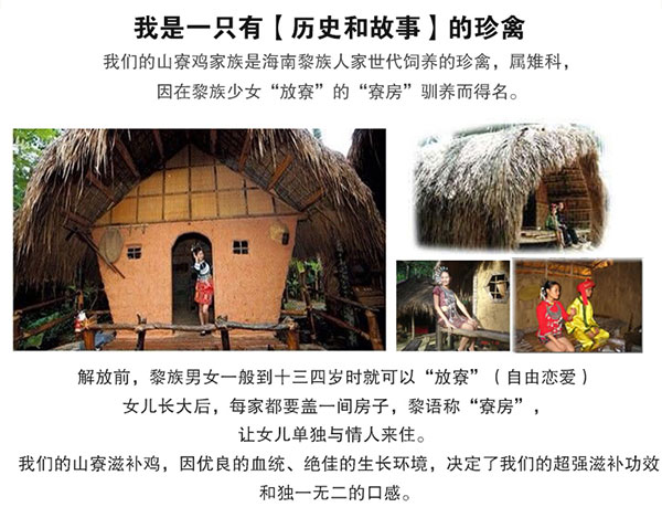 益智积长寿鸡_02.jpg