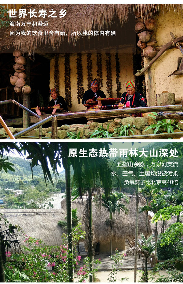 益智积长寿鸡_05.jpg