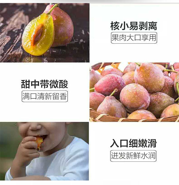 西梅_01_02.jpg