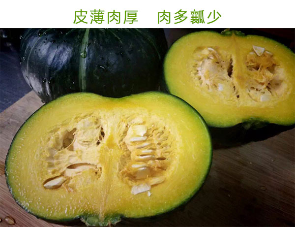 小南瓜_05.jpg