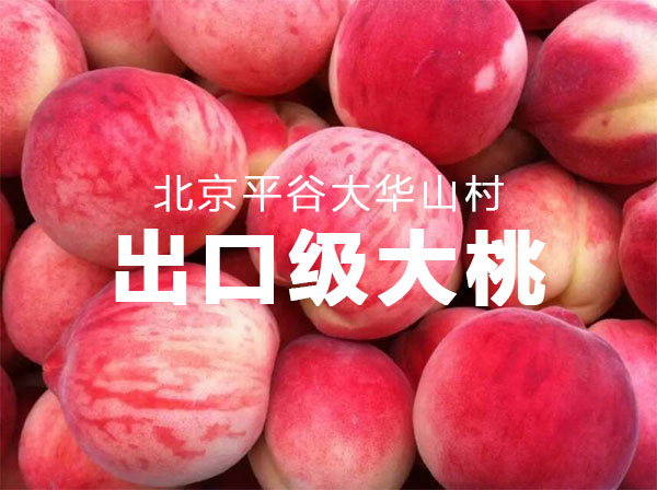 未标题-1_01.jpg