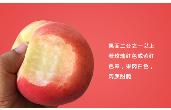 未标题-1_03.jpg
