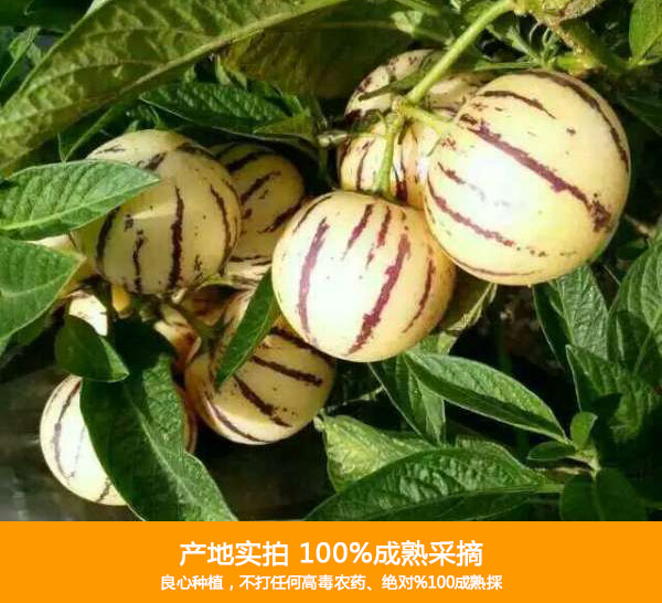 未标题-1_03.jpg