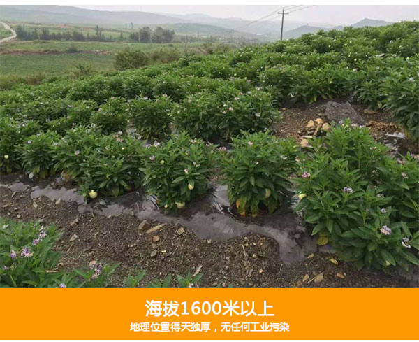 未标题-1_04.jpg