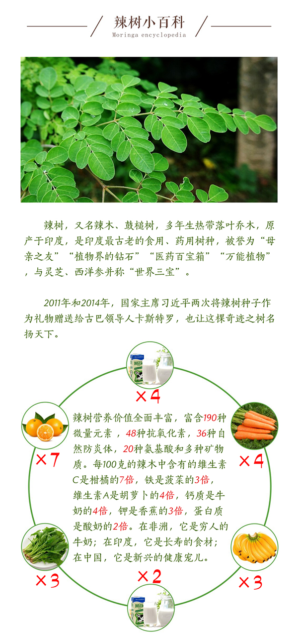 辣木炖料包8-12_08.png