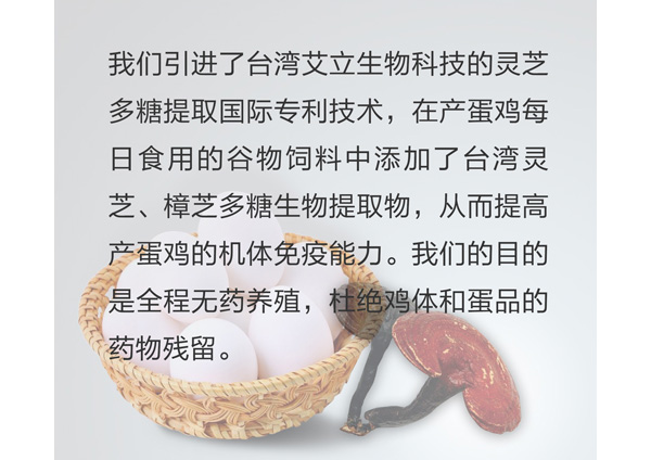 未标题-1_02.jpg