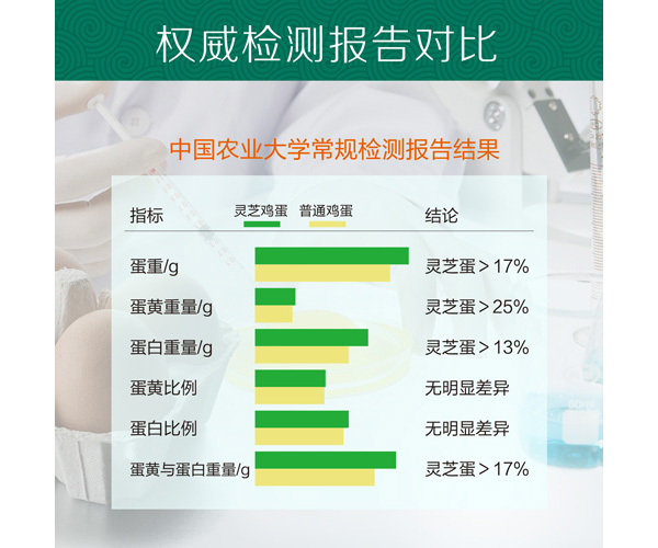 未标题-1_04.jpg