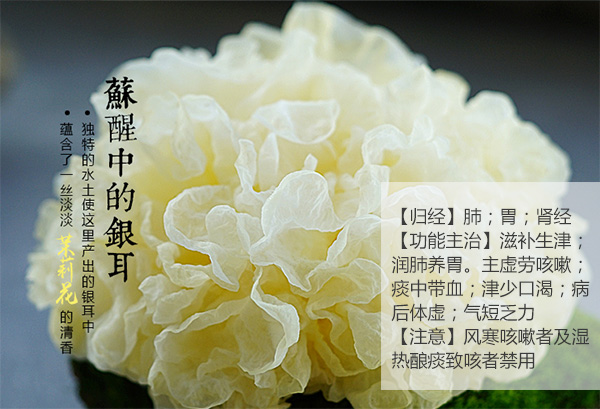 未标题-1_02.jpg