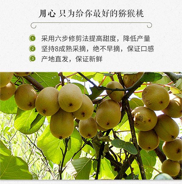 未标题-1_05.jpg