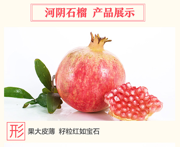 未标题-1_02.jpg