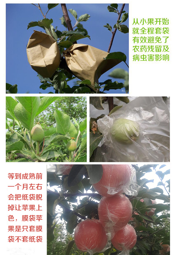 未标题-1_06.jpg