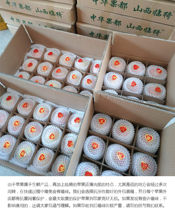未标题-1_08.jpg