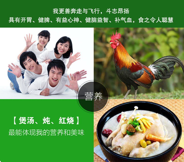 益智鸡-月子套餐_09.jpg