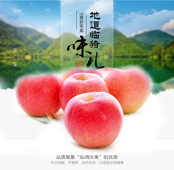 未标题-1_01.jpg