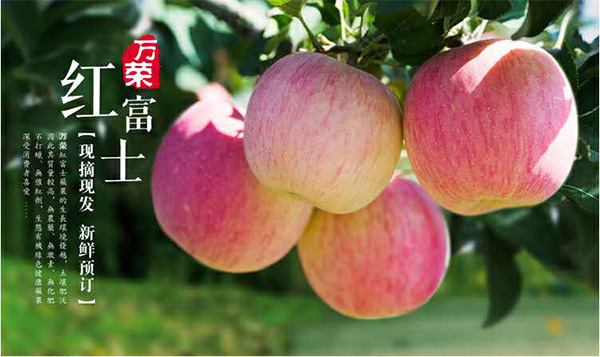 未标题-1_02.jpg