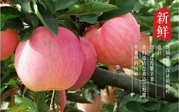 未标题-1_03.jpg