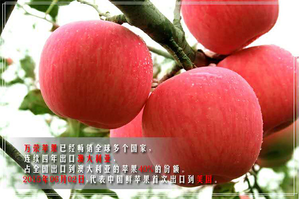 未标题-1_05.jpg
