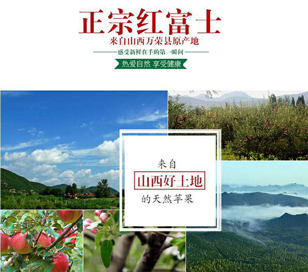 未标题-1_06.jpg