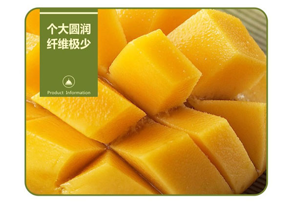 未标题-1_03.jpg