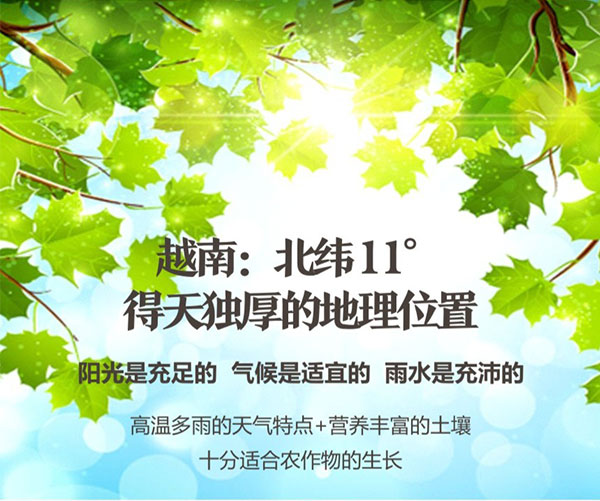 未标题-1_08.jpg