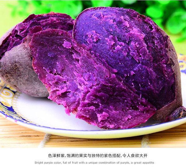 未标题-1_03.jpg