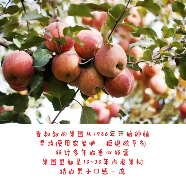 未标题-1_06.jpg
