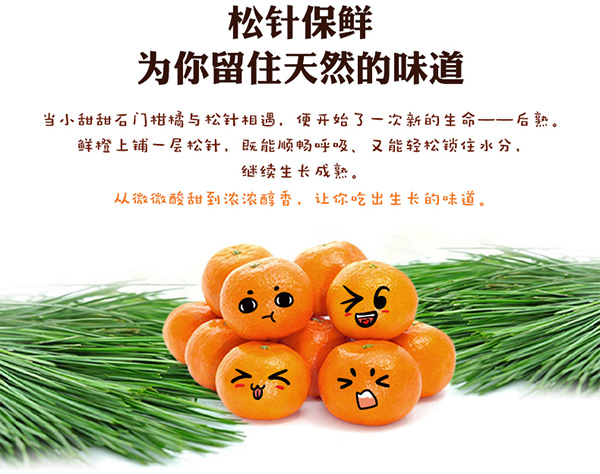 小甜甜电商文件说明-1024_02.jpg