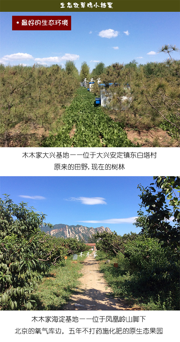 未标题-1_02.jpg