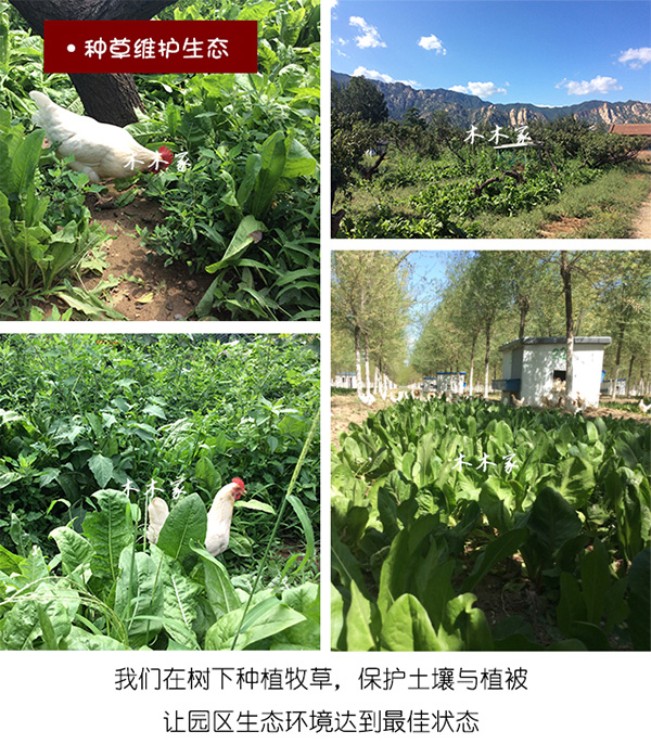 未标题-1_03.jpg