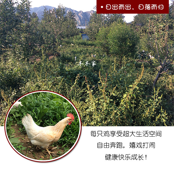 未标题-1_05.jpg