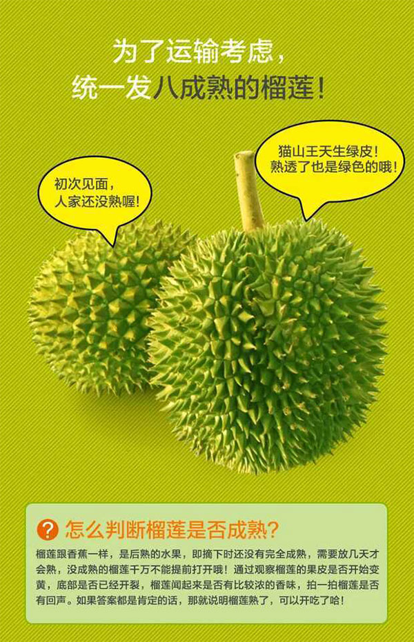 未标题-1_03.jpg