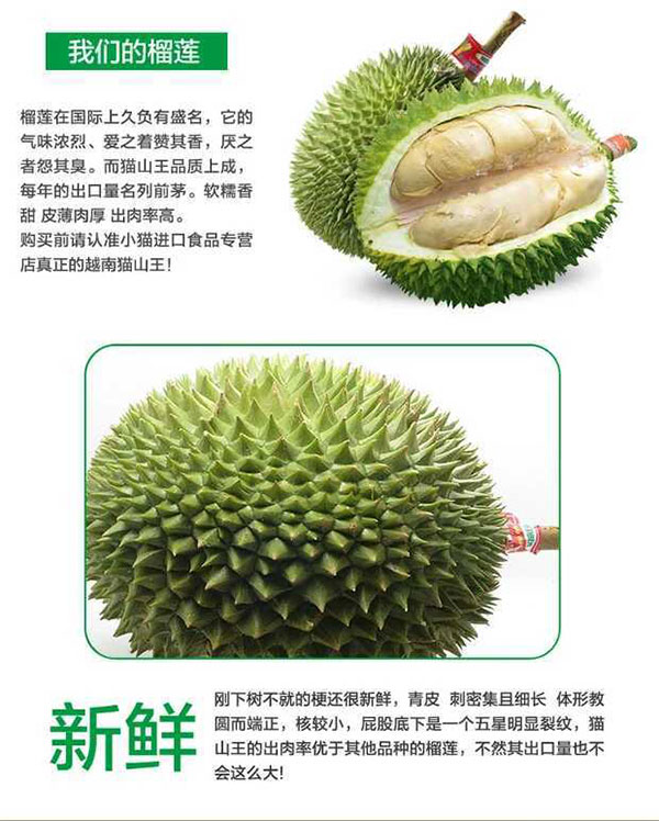 未标题-1_04.jpg