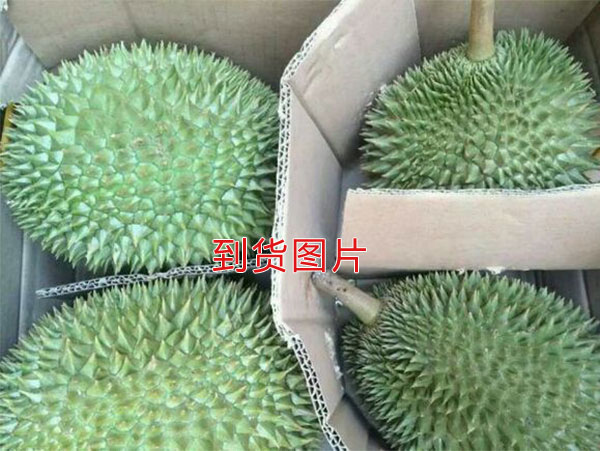 未标题-1_05.jpg