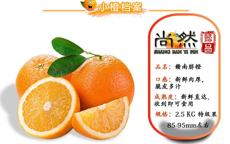 淘宝主图2终稿_02.jpg