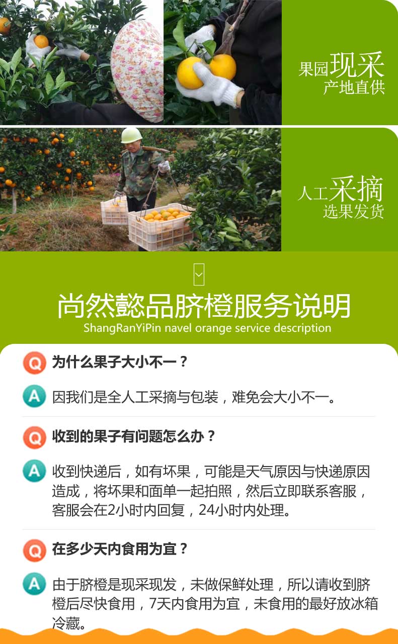 淘宝主图2终稿_08.jpg