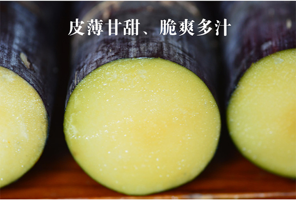 未标题-1_05.jpg