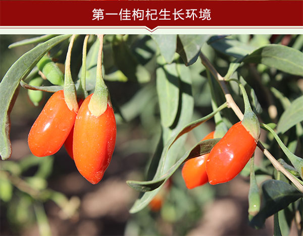未标题-1_11.jpg