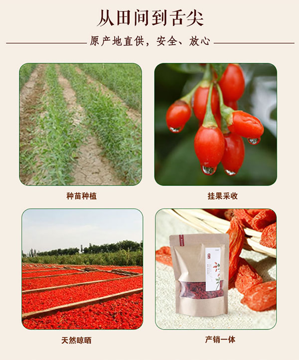 未标题-1_09.jpg