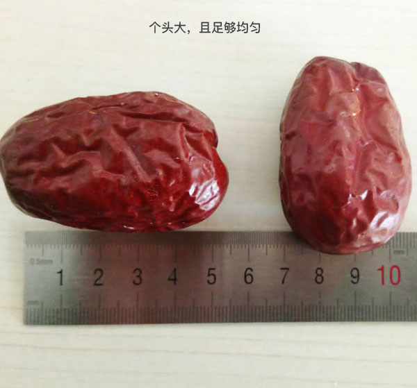 未标题-1_05.jpg