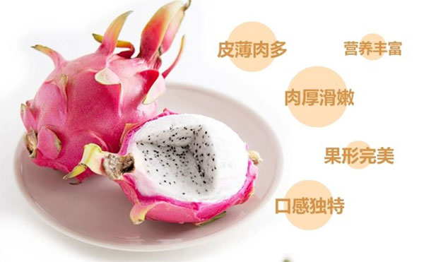 1481941571941045862.jpg 未标题-1_06.jpg