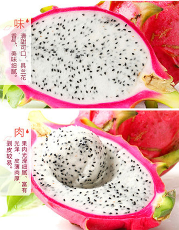 1481941578446011042.jpg 未标题-1_05.jpg