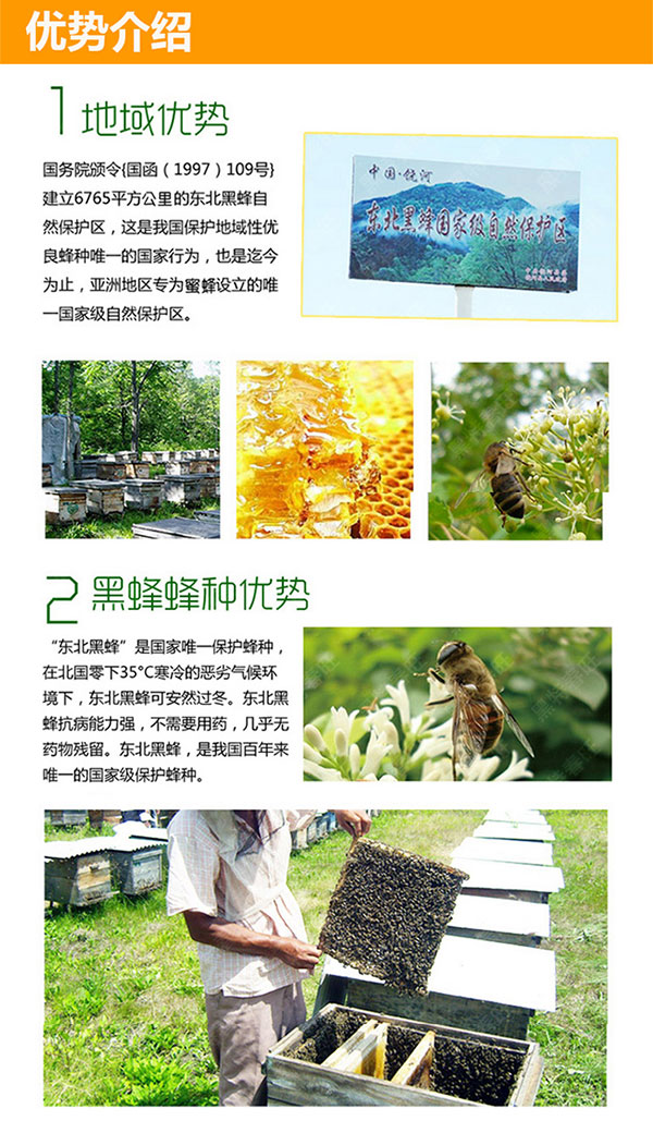 未标题-1_11.jpg