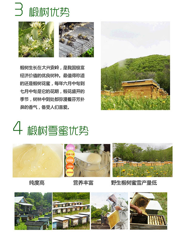 未标题-1_12.jpg