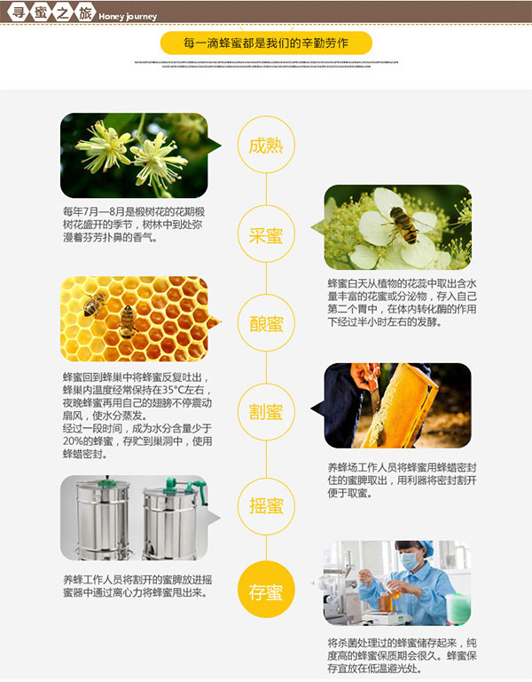 未标题-1_11.jpg