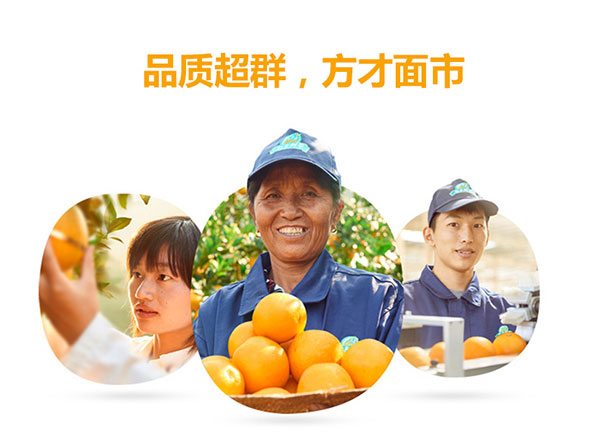未标题-2_03.jpg