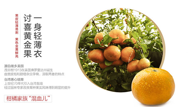 未标题-1_02.jpg