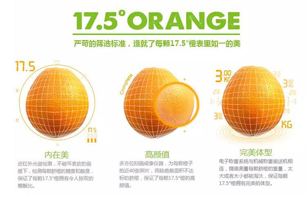 1483412375988015119.jpg 未标题-1_03.jpg